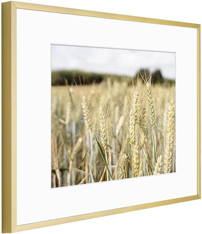 Golden State Art, Gallery Wall Frame Set of 6 - Gold 11x14 Aluminum Photo Frames with Mat for 8x10 Pictures - 11 x 14 inch Metal Frame with Real Glass Cover - Elegant Home or Office Decor