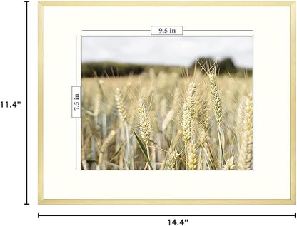 Golden State Art, Gallery Wall Frame Set of 6 - Gold 11x14 Aluminum Photo Frames with Mat for 8x10 Pictures - 11 x 14 inch Metal Frame with Real Glass Cover - Elegant Home or Office Decor