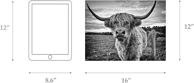 Highland Cow Canvas Wall Art Black and White Cow Photos for Wall Nature Cow Picture Framed Animal Poster Artwork for Bathroom Decor (12x16inches)