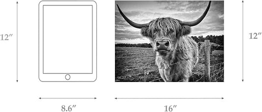 Highland Cow Canvas Wall Art Black and White Cow Photos for Wall Nature Cow Picture Framed Animal Poster Artwork for Bathroom Decor (12x16inches)