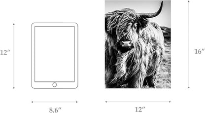 Highland Cow Wall Art Canvas Black and White Cow Picture Prints Framed Artwork for Bathroom Farmhouse Wall Decor (12x16inches)
