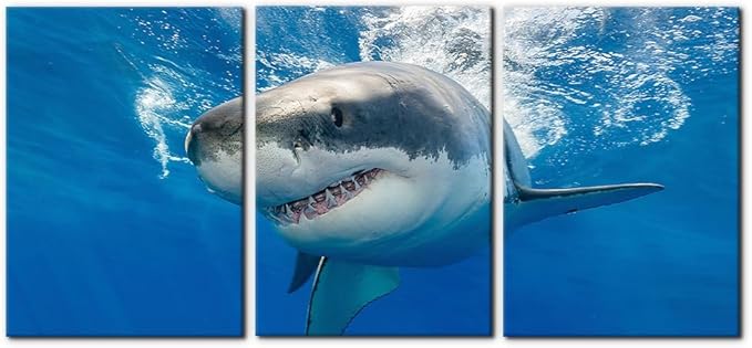 3 Piece Blue Wall Art Painting Great White Shark Catching Fish At Guadalupe Island Pictures Prints on Canvas Animal The Picture Decor for Home Modern Decoration for Living Room - 20"x28"x3 Panels