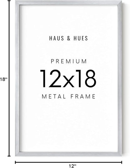 HAUS AND HUES Standalone Silver Aluminum Frame Set of 1-12x18