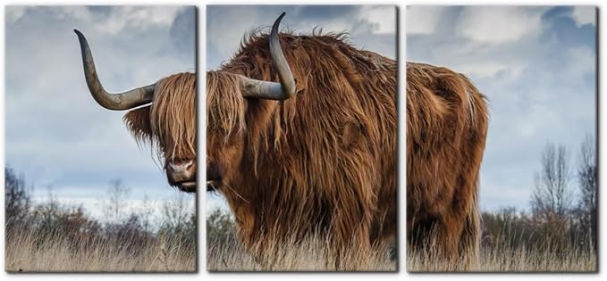 Pacimo 3 Panels Framed Canvas Prints Highland Cattle Wall Art Home Decorations for Living Room Modern Stretched and Framed Animal Pictures Photo Giclee Paintings Ready to Hang - 20"x28"x3 Panels