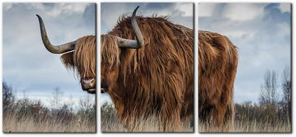 Pacimo 3 Panels Framed Canvas Prints Highland Cattle Wall Art Home Decorations for Living Room Modern Stretched and Framed Animal Pictures Photo Giclee Paintings Ready to Hang - 20"x28"x3 Panels