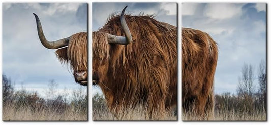 Pacimo 3 Panels Framed Canvas Prints Highland Cattle Wall Art Home Decorations for Living Room Modern Stretched and Framed Animal Pictures Photo Giclee Paintings Ready to Hang - 20"x28"x3 Panels
