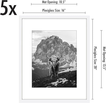 Americanflat 16x20 Picture Frame with Polished Plexiglass - Set of 5 - Use as 11x14 Frame with Mat or Display 16x20 Photo Without Mat - Galleria Collection - Picture Frames for Wall Display - White