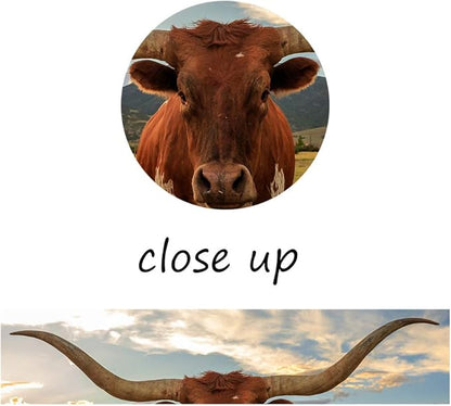 5 Piece Animal HD Painting Canvas Prints Texas Longhorn Steer in Rural Utah Giclee Artwork Modern Framed and Stretched Wall Art Painting for Living Room Decor - 60''W x 32''H