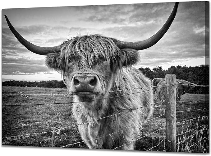 Highland Cow Canvas Wall Art Black and White Cow Photos for Wall Nature Cow Picture Framed Animal Poster Artwork for Bathroom Decor (24x36inches)