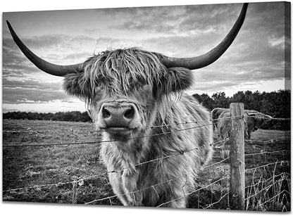 Highland Cow Canvas Wall Art Black and White Cow Photos for Wall Nature Cow Picture Framed Animal Poster Artwork for Bathroom Decor (20x30inches)
