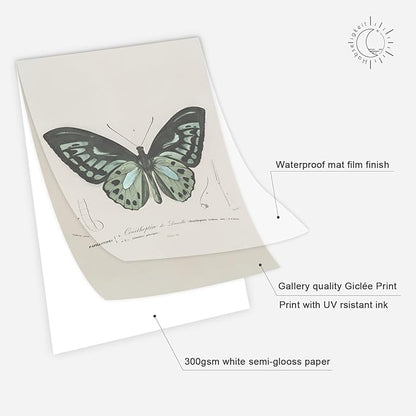 Habseligkeit Green Butterfly Wall Art Prints, Vintage Room Decor, Posters for Girls Room Aesthtic, Girls Dorm Wall Decor Unframed 8x10in Set of 6