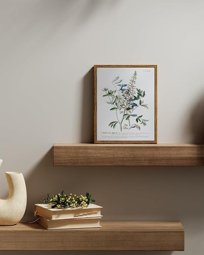 VIYYIEA Vintage Botanical Herb Wall Art, Flowers Seeds Paingtings Wall Decor Aesthetic, Framed Canvas Print Artwork, Floral Wall Pictures for Bedroom Bathroom, 8x10 Inch, Herbal Illustrations