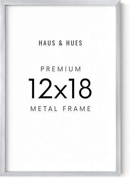 HAUS AND HUES Standalone Silver Aluminum Frame Set of 1-12x18