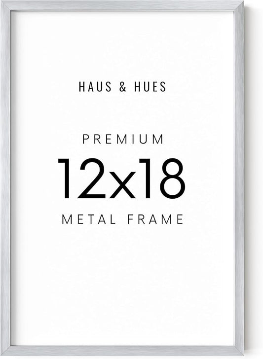 HAUS AND HUES Standalone Silver Aluminum Frame Set of 1-12x18