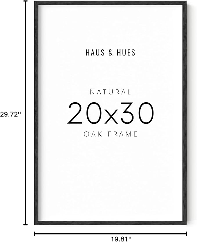 HAUS AND HUES 20x30 Black Oak Frame - Poster Holder, Art Display, Wall Mount (Wooden Frame)