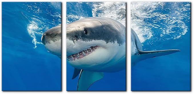 3 Piece Blue Wall Art Painting Great White Shark Catching Fish At Guadalupe Island Pictures Prints on Canvas Animal The Picture Decor for Home Modern Decoration for Living Room - 16"x24"x3 Panels