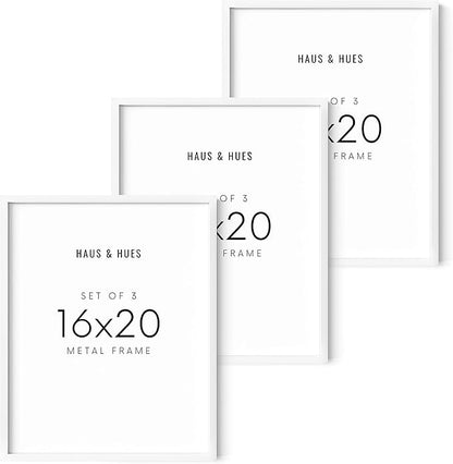 HAUS AND HUES Standalone White Aluminum Frame Set of 3-16x20