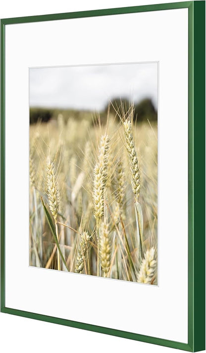 Golden State Art 11x14 Picture Frame 6 Pack - Dark Green Aluminum Photo Frames With 8x10 Mats and Real Glass Cover - Elegant Minimalist Wall Gallery Frames for Home or Office Decor