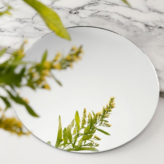 10 inch Glass Round Mirror Circle Wall Mounted for Bathroom, Living Room, Home Decor, Small Round Mirror Plate Trays for Wedding Table Centerpieces