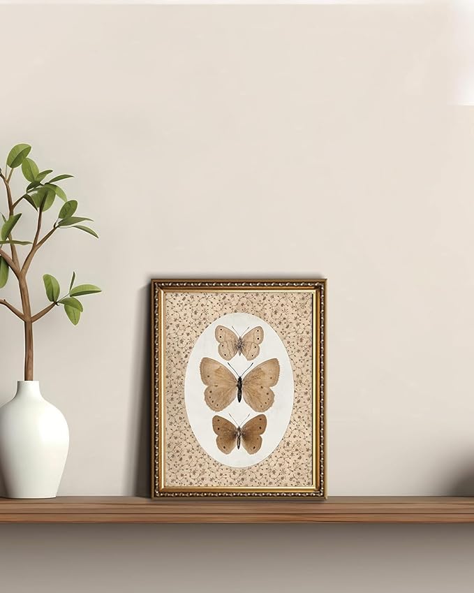 WZGZXU Vintage Gold Framed Wall Art Butterfly Pictures Wall Decor Moth Taxidermy Canvas Art Bathroom Shelf Paintings Print Antique Farmhouse Artwork For Living Room Bedroom
