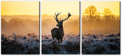 Pacimo Canvas Print Wall Art 3 Pieces Set Deer in Golden Light at Dawn Nature Wilderness Photography Realism Rustic Scenic Relax/Calm Multicolor for Living Room Bedroom Office Decor - 20"x28"x3 Panels