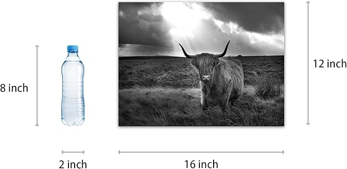 Black and White Highland Cow Wall Art Decor Prints Poster Animal Picture Framed Highland Cow Artwork Framed for Living room Bedroom (12x16 inch)