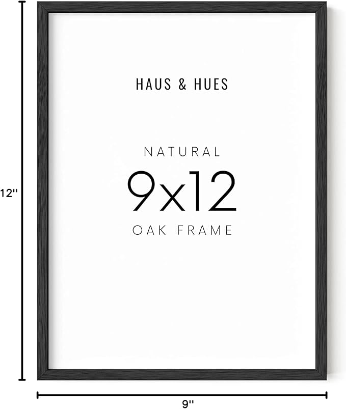 HAUS AND HUES 9x12 Black Oak Frame - Poster Holder and Wall Display (Wood Finish)