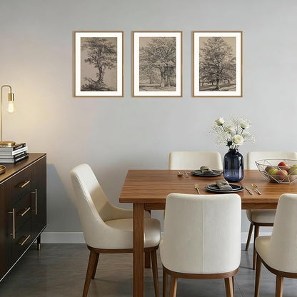 KAIRNE Vintage Tree Sketch Framed Canvas Wall Art Set, Antique Tree Drawings Wall Decor, Retro Forest Art Prints, Modern Nature Landscape Artwork for Living Room, Bedroom, Farmhouse, Office-12 x16 x3