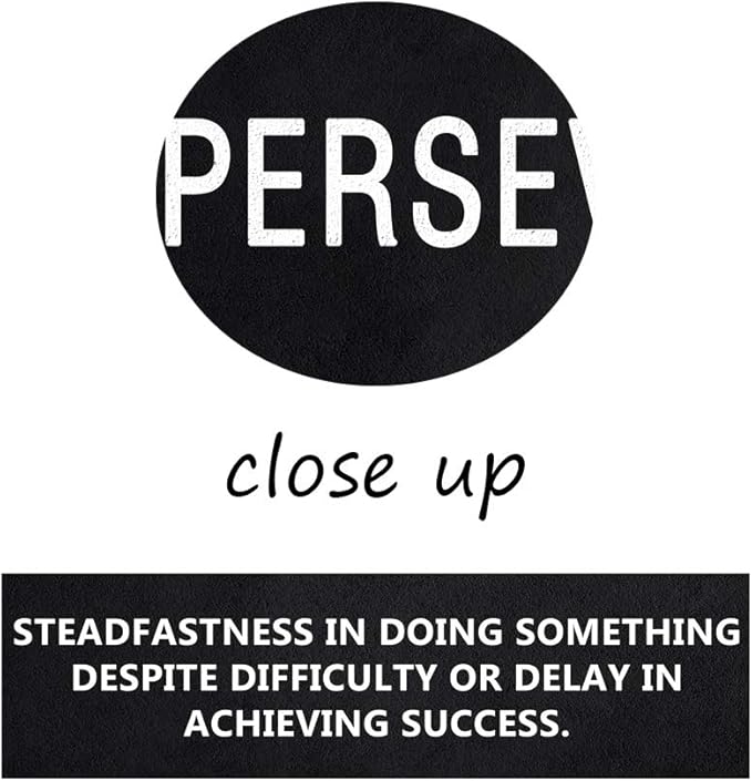 Inspirational Canvas Wall Art Motivational Painting Perseverance Noun Pictures Inspiring Entrepreneur Quote Success Posters and Prints Artwork Decor for Home Office Framed Ready to Hang (28" Wx44 H)