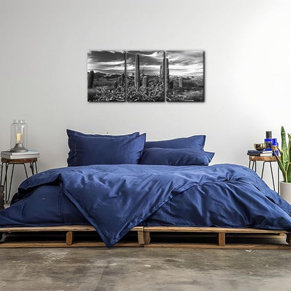 Pacimo 3 Pieces Black and White Canvas Wall Art Sunset Landscape of National Park Arizona Sonoran Desert Cactus Pictures Painting Prints on Canvas Modern Artwork for Home Office Decor - 12"x16"x3