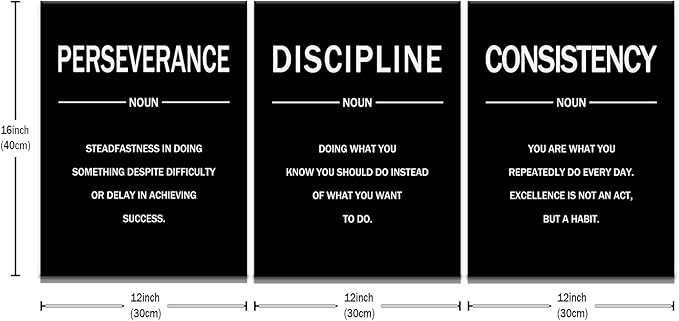 Motivational Wall Decor Perseverance Discipline Consistency 3 Pieces Inspirational Office Posters Positive Picture Prints Artwork for Modern Home Bedroom Gym Classroom Ready to Hang [36''W X 16''H]