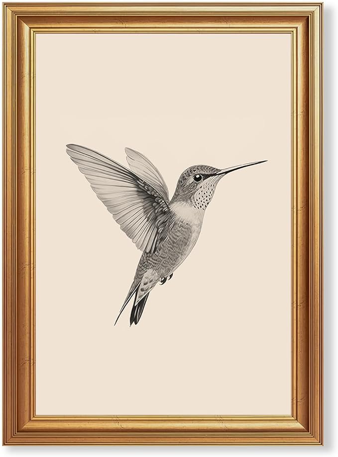JLTULT Gold Framed Hummingbird Wall Art, Vintage Black White Sketch Wall Decor, Hummingbird Illustration Art Prints for Living Room Bedroom Office 16x24 Inches with Fade-Resistant Easy to Hang