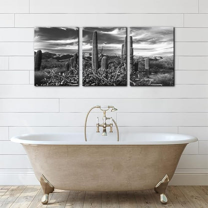 Pacimo 3 Pieces Black and White Canvas Wall Art Sunset Landscape of National Park Arizona Sonoran Desert Cactus Pictures Painting Prints on Canvas Modern Artwork for Home Office Decor - 12"x16"x3