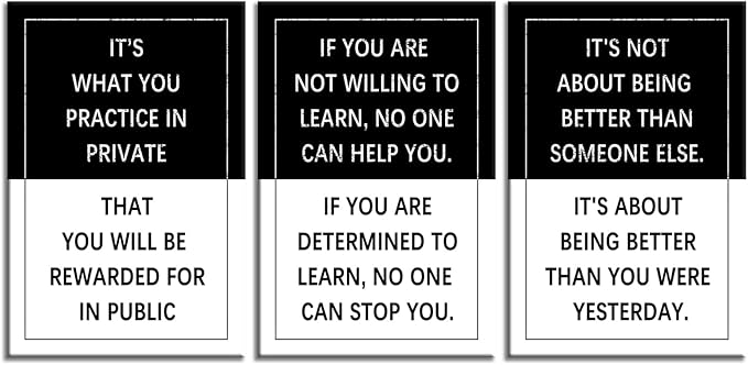 Inspirational Poster for Office 3 Piece Practice Entrepreneur quote Motivational Wall Art Canvas Prints Artwork for Living Room Modern Home Decor Painting Pictures Stretched and Framed[72''Wx 36''H]