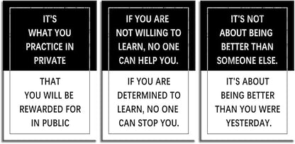 Inspirational Poster for Office 3 Piece Practice Entrepreneur quote Motivational Wall Art Canvas Prints Artwork for Living Room Modern Home Decor Painting Pictures Stretched and Framed[72''Wx 36''H]