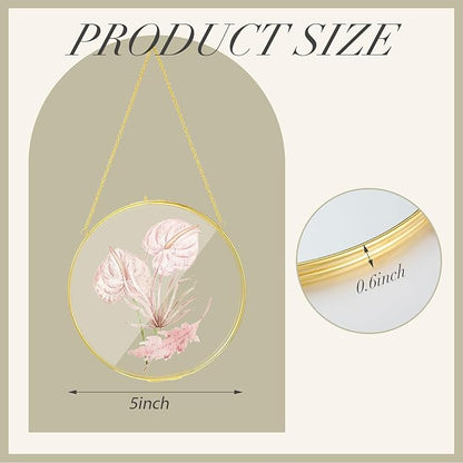 Qunclay 4 Pcs Double Glass Frame for Pressed Flowers Round Hanging Herbarium Floating Flower Press Frame Clear DIY Vintage Artwork Display holder(5 Inch,Gold)