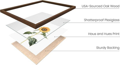 HAUS AND HUES Sunflower Set Collage 16x20 - Framed Walnut