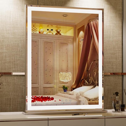 ANYHI Vanity Mirror with Lights, 22.4" x 28.1" Tabletop Vanity Mirror with Lights and Stand, 3 Color Modes, 10X Magnification, Smart Touch Control, Wall Mounted/Desk Mirror for Bedroom Makeup, Silver
