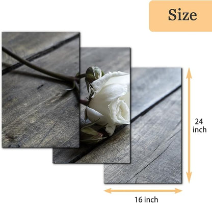 Pacimo White Rose Canvas Wall Art Prints Flowers Pictures Paintings Prints on Canvas Modern 3 Pieces Floral Giclee Artwork for Living Room Bedroom Office Home Decorations Stretched Framed - 16"x24"x3