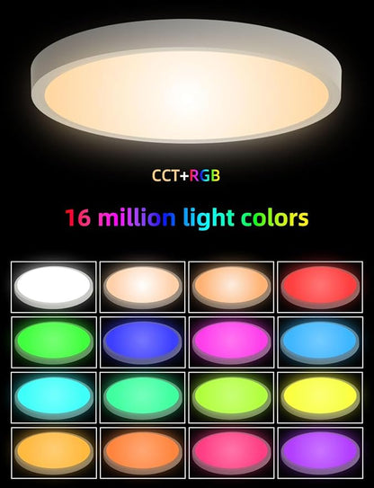 Smart Ceiling Light, 12 Inch, DIY Color Changing,Dimmable Night Light, Compatible with Alexa and Google Assistant, Light for Bedroom and Living Room, 1 Pack (White)