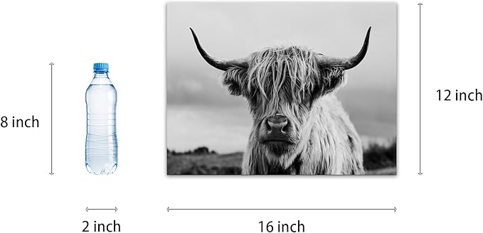 Highland Cow Wall Art Canvas Print Black and White Animal Canvas Picture Framed Art Wall Decor for Bedroom Bathroom (12x16 inch)