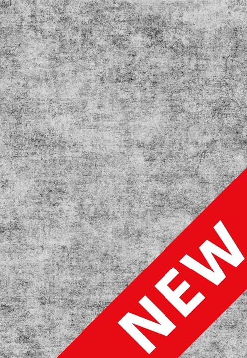 Living Room Area Rug 3x5 - Modern Abstract Washable Bedroom Rugs with Non Slip Rubber Backing Indoor Low Pile Carpet for Office Nursery Soft Ultra Thin Home Decor Floor Mat for Bathroom 3x5 Grey