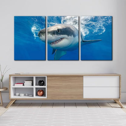 3 Piece Blue Wall Art Painting Great White Shark Catching Fish At Guadalupe Island Pictures Prints on Canvas Animal The Picture Decor for Home Modern Decoration for Living Room - 20"x28"x3 Panels