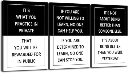 Inspirational Poster for Office 3 Piece Practice Entrepreneur quote Motivational Wall Art Canvas Prints Artwork for Living Room Modern Home Decor Painting Pictures Stretched and Framed[72''Wx 36''H]