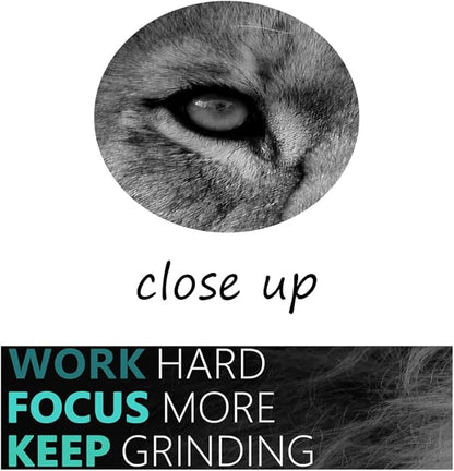Motivational Lion Wall Art 3 Pieces Poster Inspirational Canvas Positive Wall Art Quotes Success Canvas Artwork Picture Print Framed for Home Office Living Room Gym Wall Decor [48''Wx 24''H]