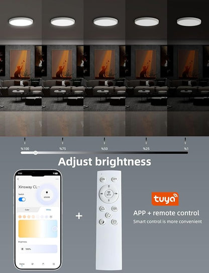Smart Ceiling Light, 12 Inch, DIY Color Changing,Dimmable Night Light, Compatible with Alexa and Google Assistant, Light for Bedroom and Living Room, 1 Pack (White)