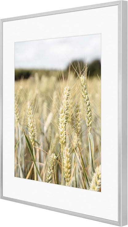Golden State Art, Gallery Wall Frame Set of 6 - Silver 14x18 Aluminum Photo Frames with Mat for 11x14 Pictures - 14 x 18 inch Metal Frame with Real Glass Cover - Elegant Home or Office Decor