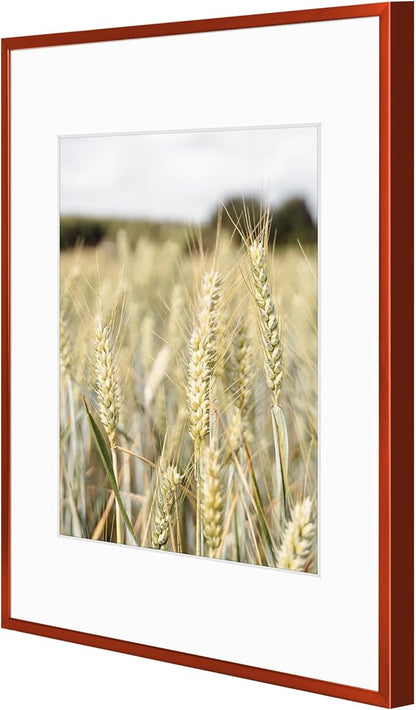Golden State Art 11x14 Picture Frame 6 Pack - Dark Red Aluminum Photo Frames With 8x10 Mats and Real Glass Cover - Elegant Minimalist Wall Gallery Frames for Home or Office Decor