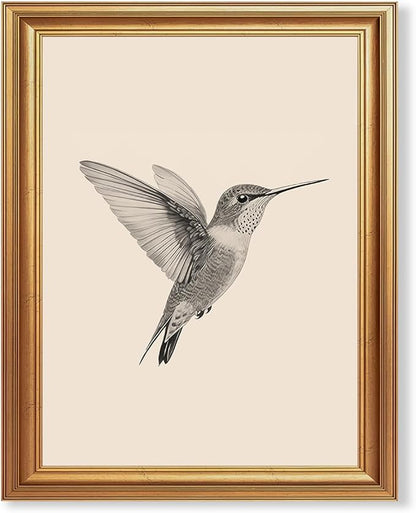 JLTULT Gold Framed Hummingbird Wall Art, Vintage Black White Sketch Wall Decor, Hummingbird Illustration Art Prints for Living Room Bedroom Office 8x10 Inches with Fade-Resistant Easy to Hang
