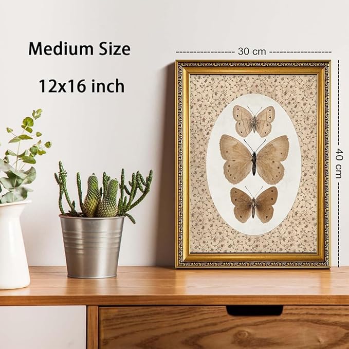 WZGZXU Vintage Gold Framed Wall Art Butterfly Pictures Wall Decor Moth Taxidermy Canvas Art Bathroom Shelf Paintings Print Antique Farmhouse Artwork For Living Room Bedroom